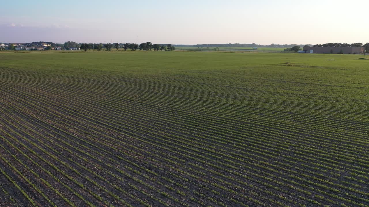 Agricultural Field