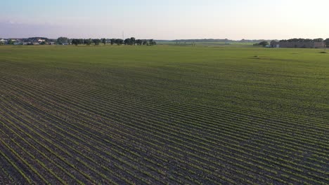 agricultural field
