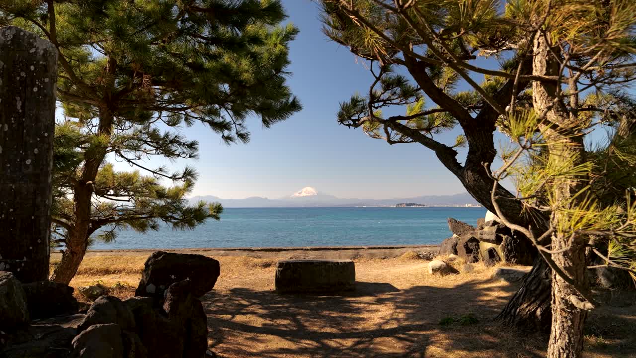 mt의 놀라운 프레임