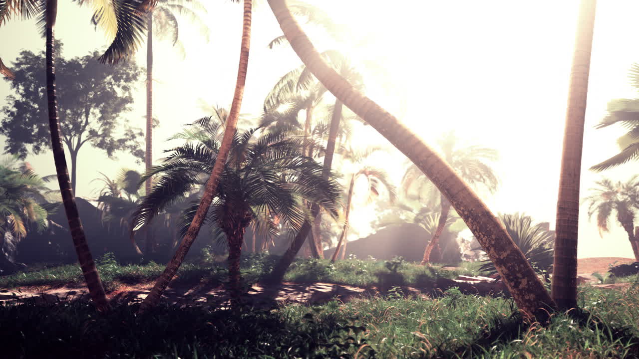 El paraíso de las playas tropicales