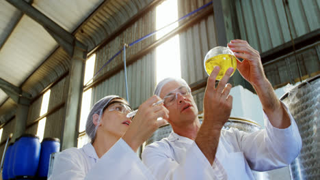técnicos que examinan el aceite de oliva