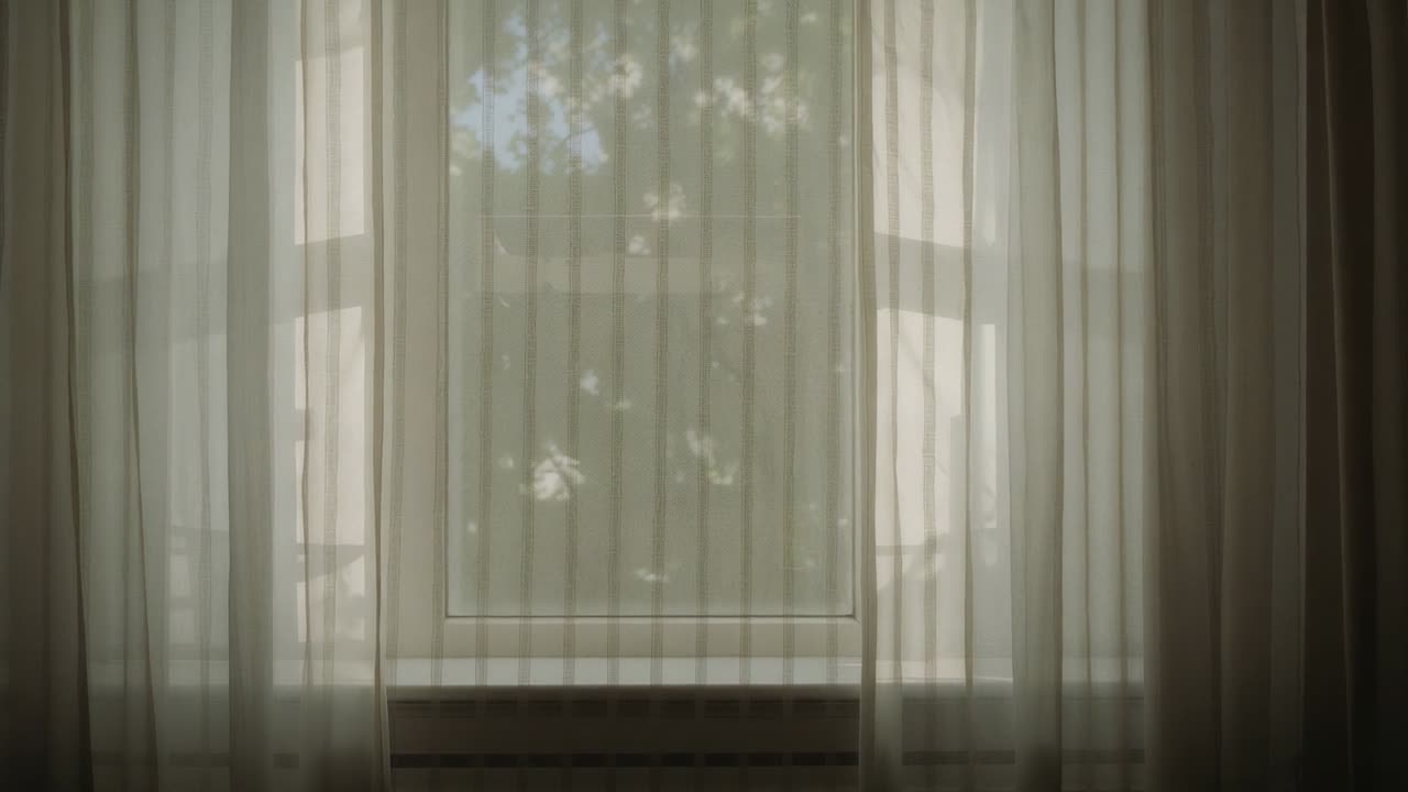 Showing single window in room, breeze moving branches and casting shadows on blind and curtains