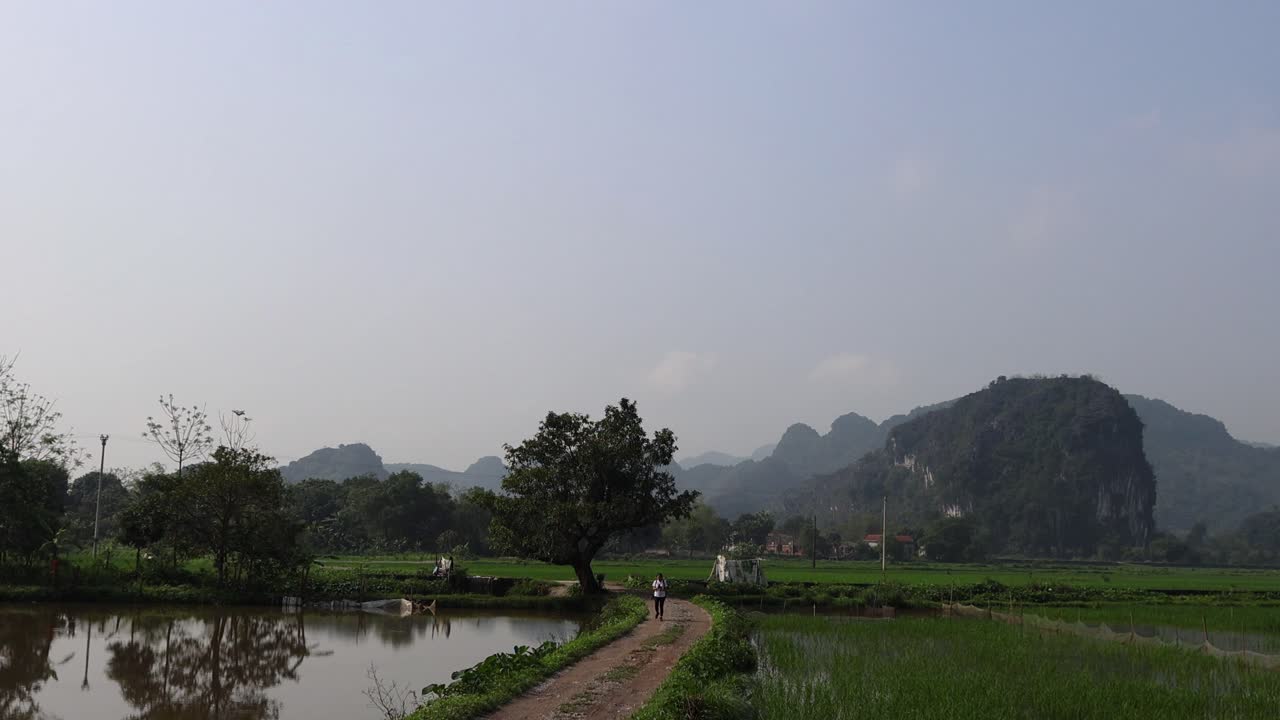 산과 이 있는 평화로운 풍경