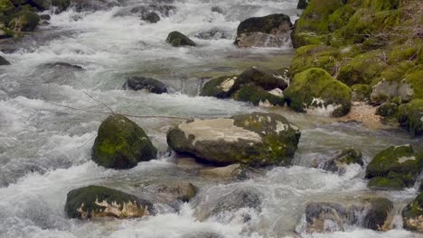 tilt down shot of natural river flowing down mountain between mossy rocks in austria - slow motion footage