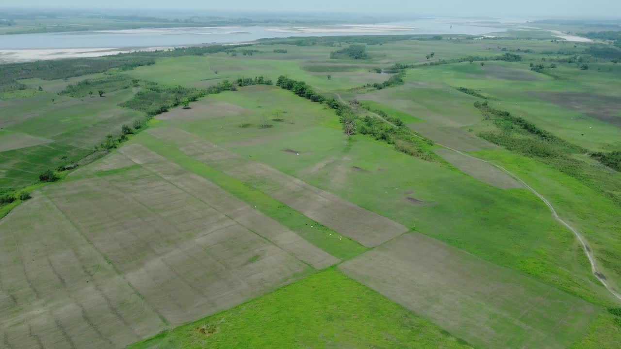 vista de avión no tripulado de la isla fluvial más grande de asia, la isla de majuli