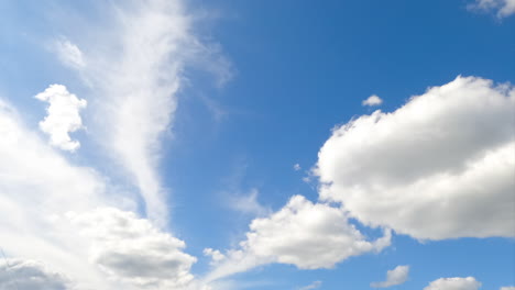sunny day clear skies covered with white clouds lit with bright sun. beautiful soft cloudscape low angle view. timelapse.
