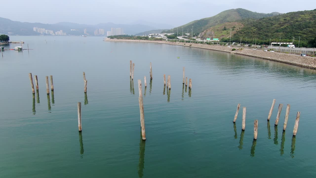 bahía escondida de hong kong en la isla de lantau con viejos troncos de árboles que sobresalen del agua, vista aérea