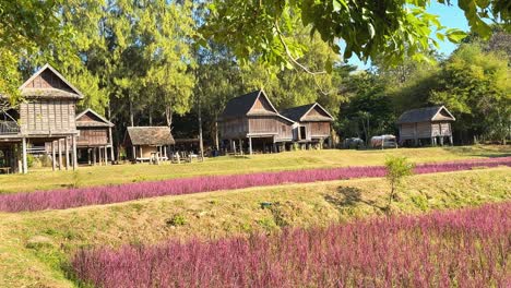 scenic view of village and fields