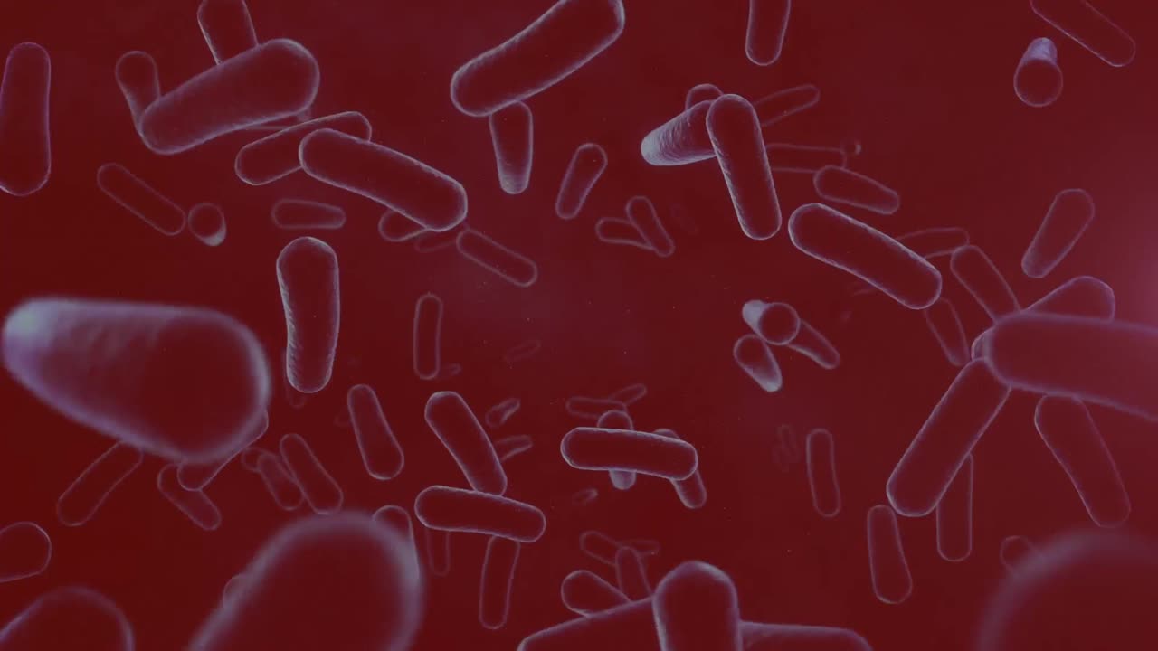 animación de células en movimiento sobre fondo rojo