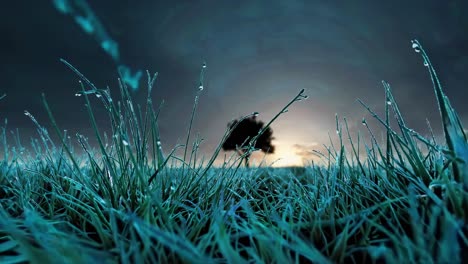 morning dew and futuristic cityscape