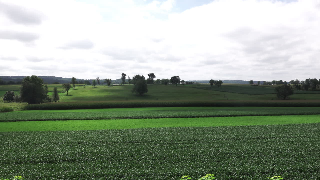 Driving past lush green fields of crops