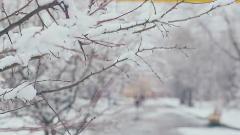 Ramas-Con-Una-Gruesa-Capa-De-Nieve-Contra-El-Cielo-Gris-Y-El-Parque.