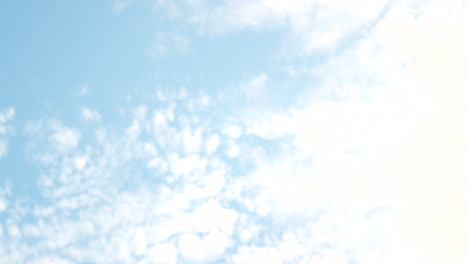 fit mature man jumping over an obstacle during