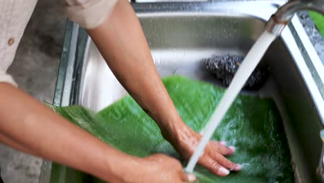 washing palm leaf in sink for food preparation, water stream