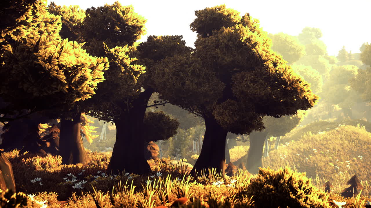 Golden light filters through lush trees in a serene forest landscape