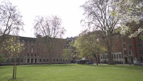 un pacífico parque en londres, rodeado de exuberante vegetación, con llamativos edificios rojos en el fondo, mezclando la naturaleza con el vibrante paisaje urbano.