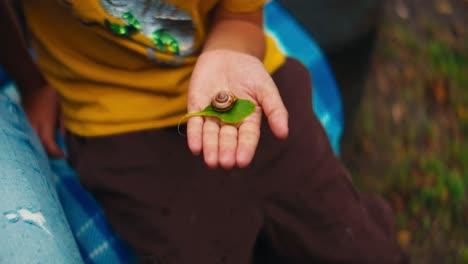 Niño-Explorando-La-Naturaleza-Con-Caracol-En-La-Hoja-En-El-Jardín-De-Infantes,-Actividad-Educativa-Al-Aire-Libre