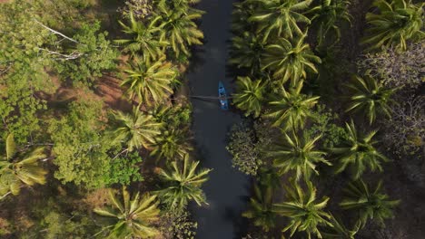 aerial view of blue boats running on the cokel river, pacitan, indonesia