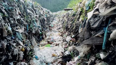 a group in the woods examines a pile of plastic waste highlighting pollution a group gathers in a serene woodland contrasting nature and human impact as they examine discarded plastic waste and discuss urgent conservation
