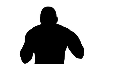 muscular silhouette of boxer posing for camera