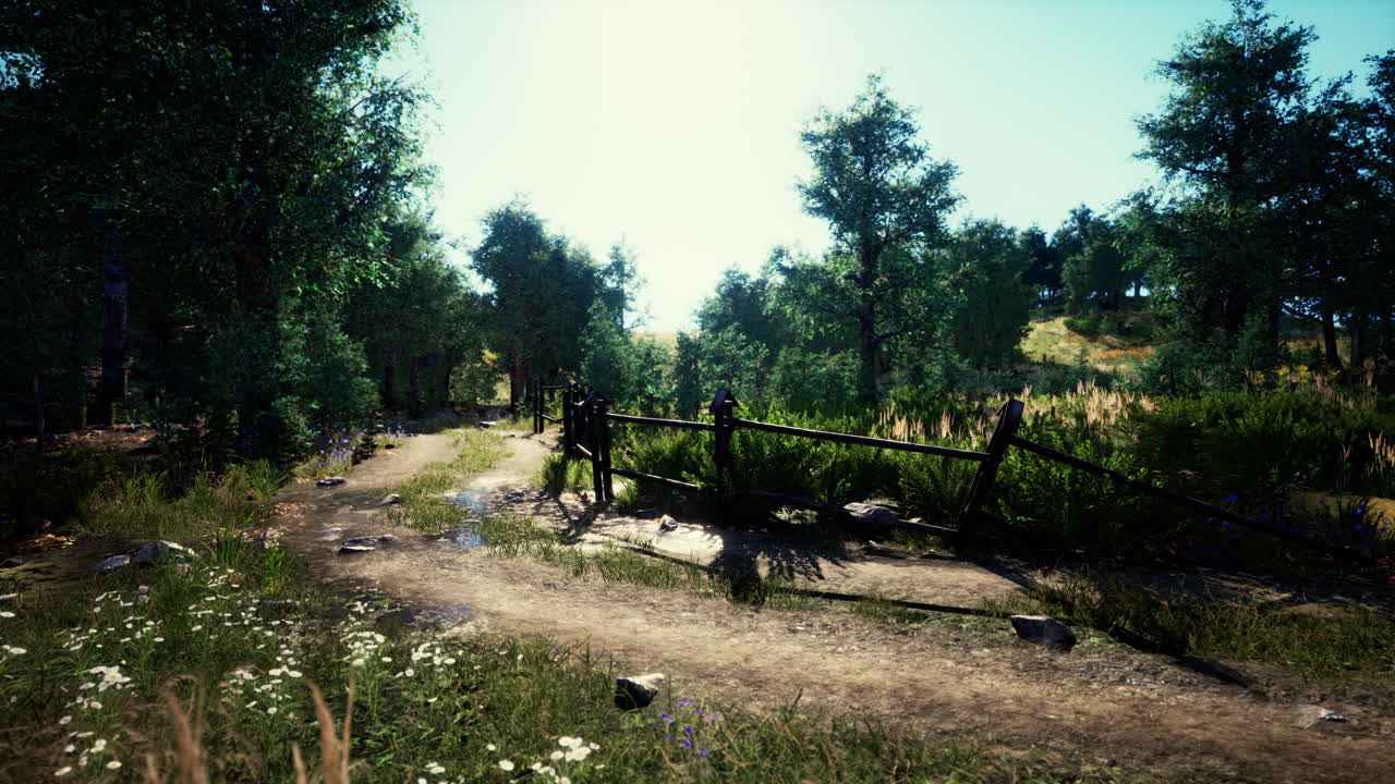 camino de tierra o camino de barro en el bosque