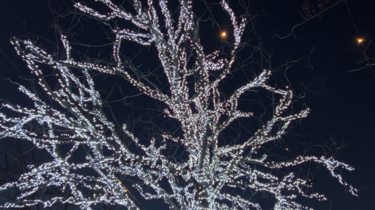 hermoso árbol iluminado con bombillas blancas para la temporada de invierno de navidad en la noche