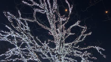 beautiful light illuminated tree with white bulbs for christmas winter season at night