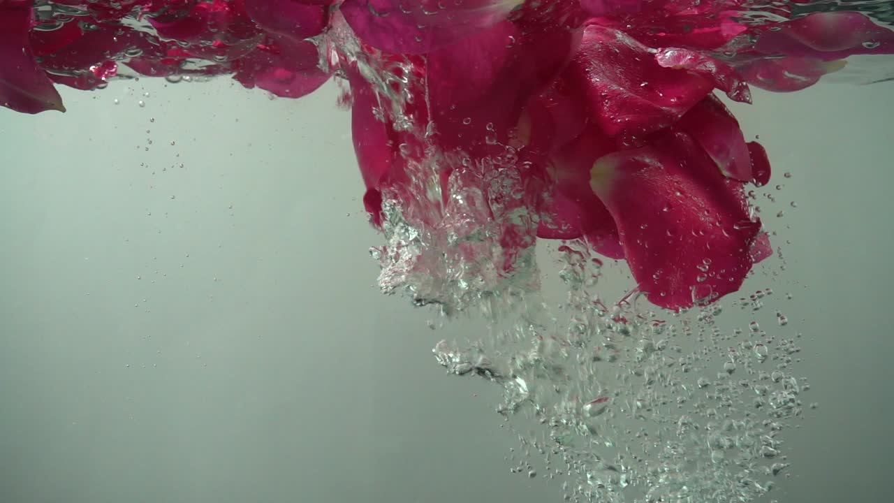 Petali di rose cadono nell'acqua. Sfondo. Movimento rallentato.