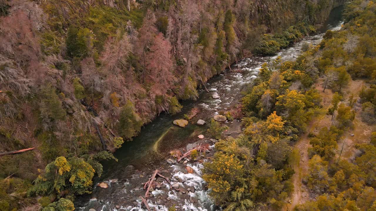 Description: Backward drone aerial of turquoise river flowing through canyon with autumn foliage, rocks, and golden trees in wilderness valley, Chile