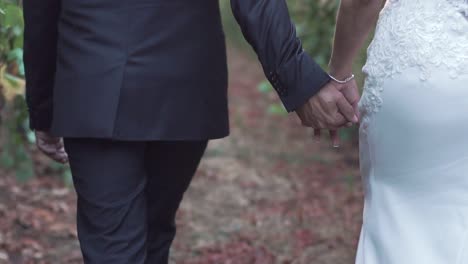 pareja de novios tomándose de la mano y caminando en un parque natural