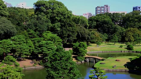 the beautiful view in rikugien gardens