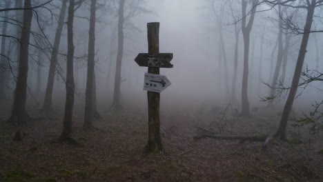 misty forest trail sign