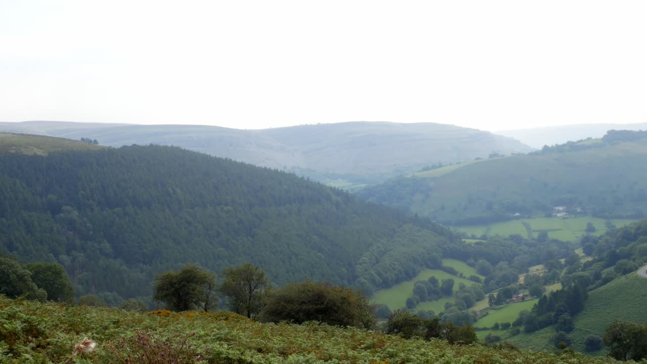 시골의 경치 좋은 하이킹 시골을 가로지르는 안개 낀 아침 산골짜기 풍경