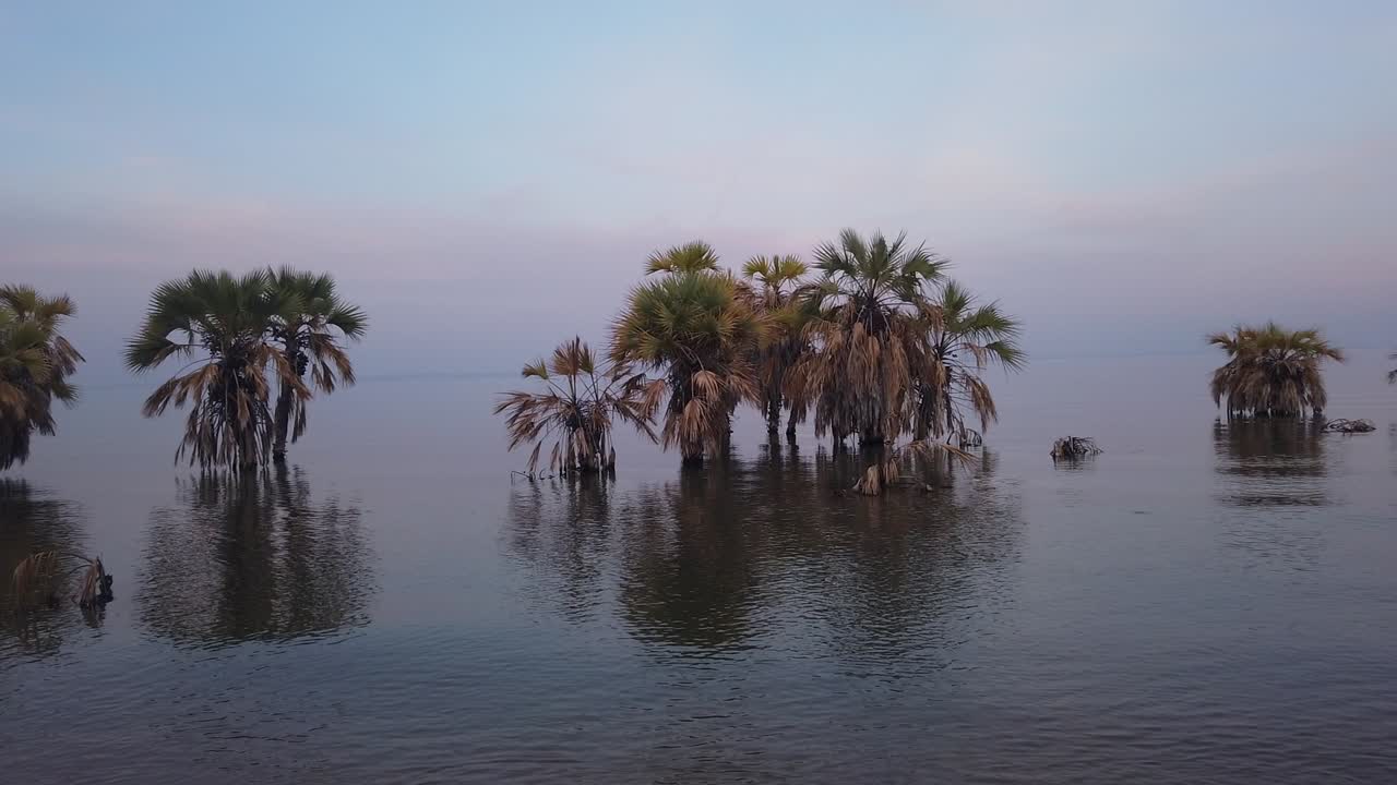 Lake Turkana shores view in the evening with palm trees