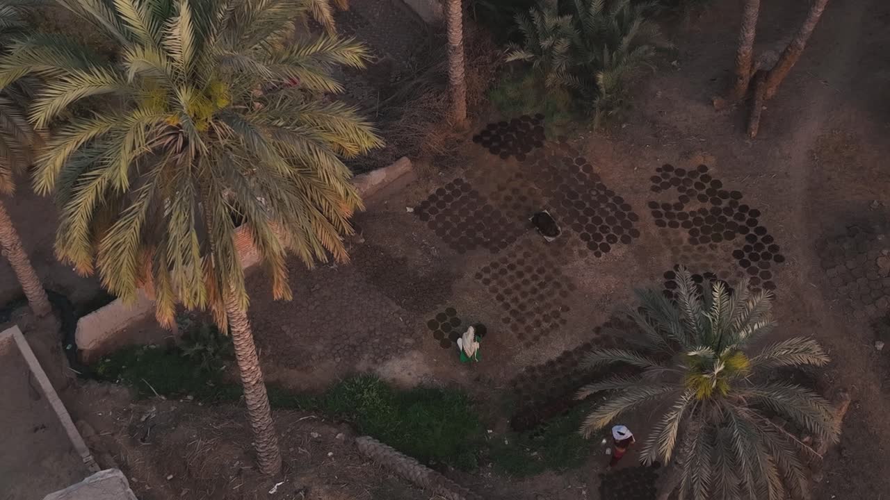 Aerial Overhead Over Rural Village With Locals Drying Tiles On Ground Beside Tall Palm Trees