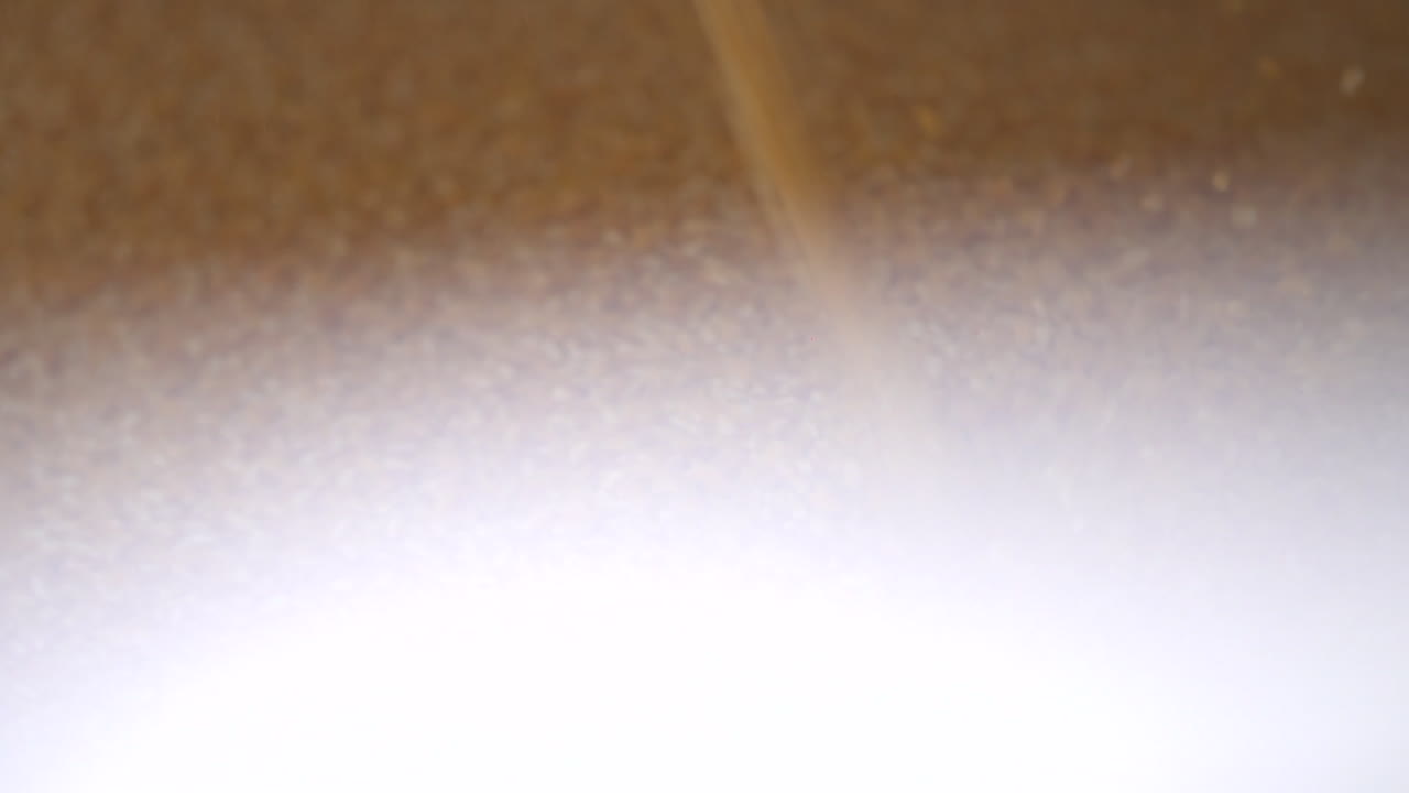 옥수수 어리 들 이 느린 동작 으로 어지고 있다