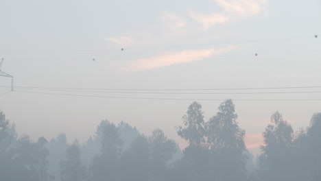 foggy landscape with trees and electrical structures