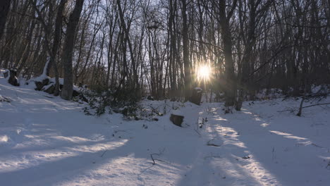 Moviente-Timelapse-Atardecer-Invierno-Bosque-Estrella-Solar-Panorámica-Derecha-árbol-Muerto