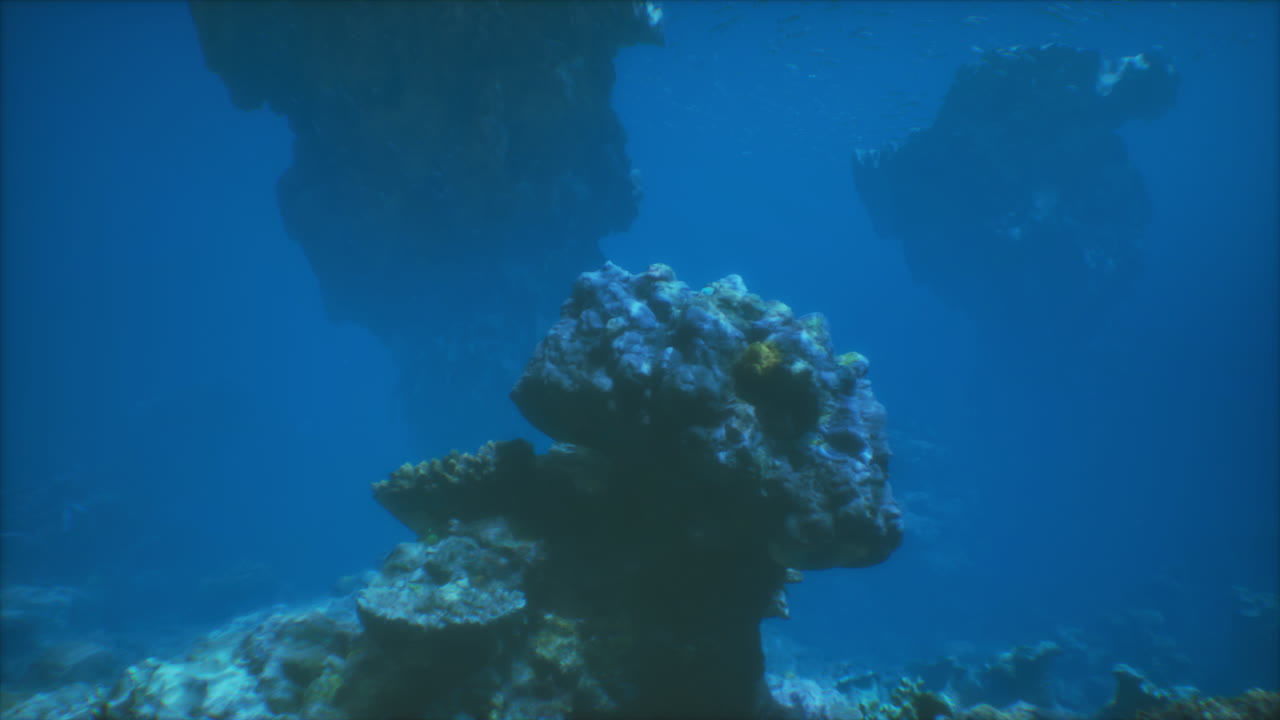 hermoso arrecife de coral submarino