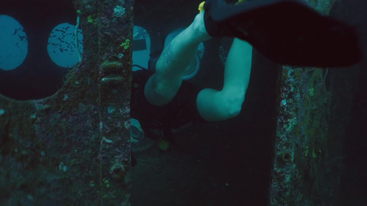 A diver explores the depths of a sunken shipwreck