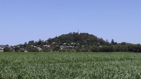 a tranquil view of a hill beyond green fields