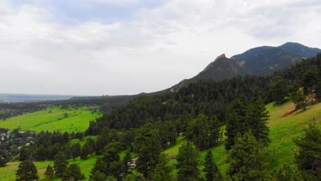 Coniferous-Pine-Tree-Foliage-Covering-Lush-Green-Colorado-Mountainside-Hillside