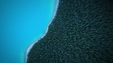 dense forest dividing a massive fresh water lake