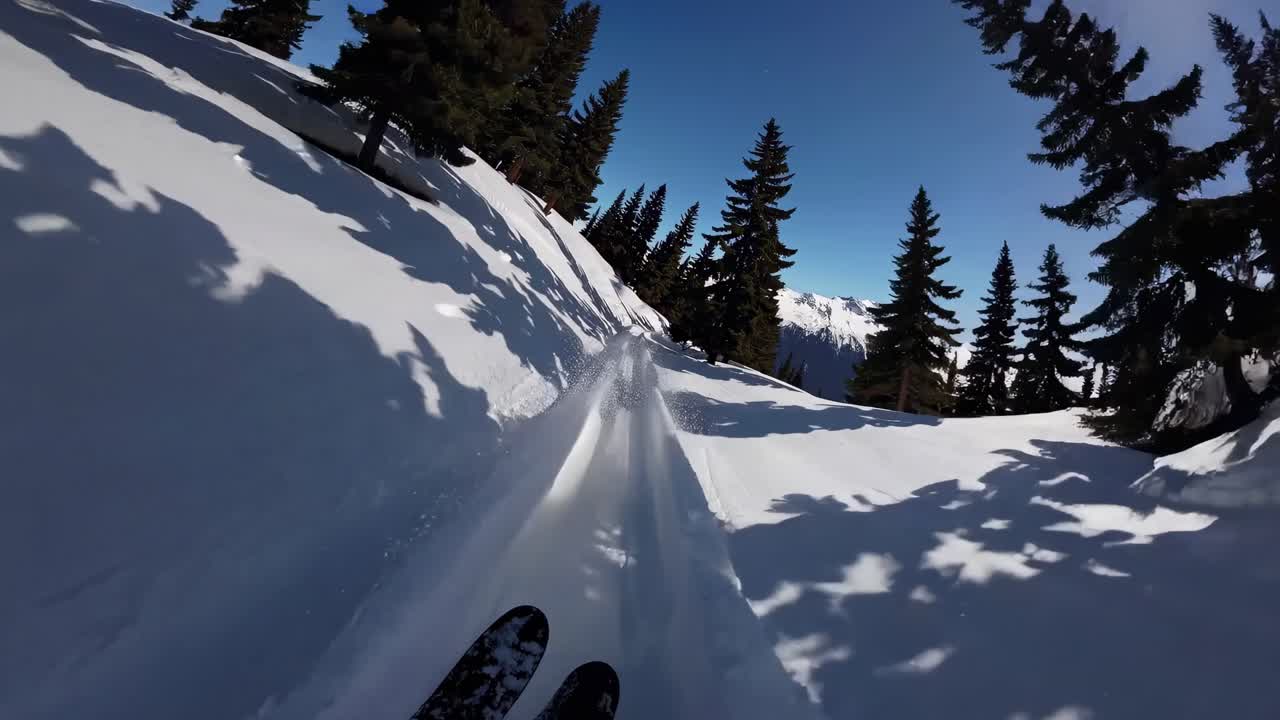 esquiando a través de un bosque de montaña nevado
