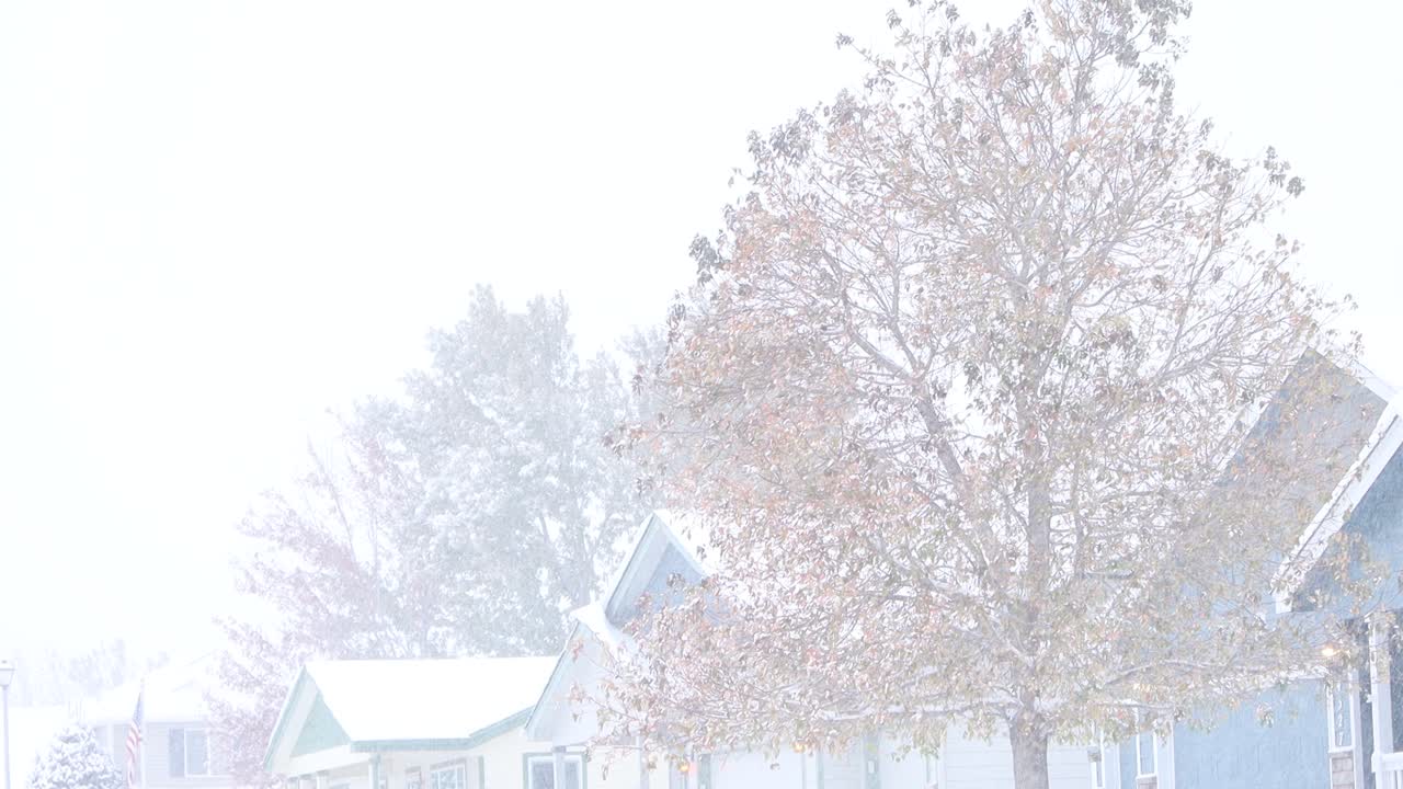 겨울 폭풍이 동네를 뒤덮다