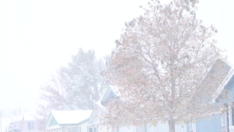 a winter storm covers a neighborhood