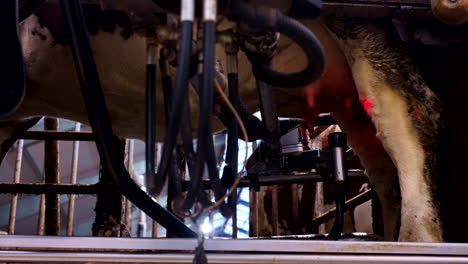 mechanical laser guided milking claw fails to attach teat cup, low angle