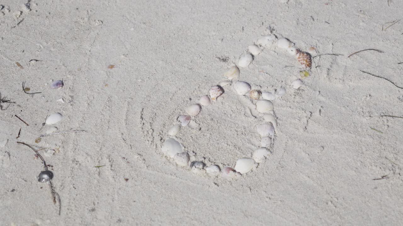Closeup of white seashells carefully arranged in a shape on smooth sand. Artistic coastal decoration highlights creativity and summer beach atmosphere.