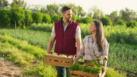 caja de verduras, agricultura