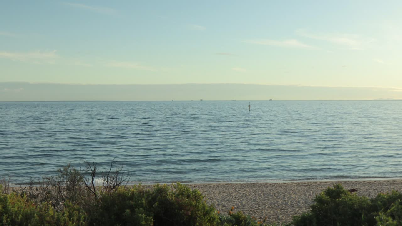 햄튼 해변의 모래를 따라  ⁇ 는 개